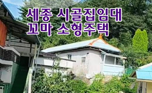 세종 시골집임대 촌집임대 농가주택임대 시골빈집임대 농촌빈집 정보 매물 귀농귀촌 5도2촌 월세임대 농촌 빈집은행 빈집플랫폼 빈집현황 빈집매물 빈집뱅크