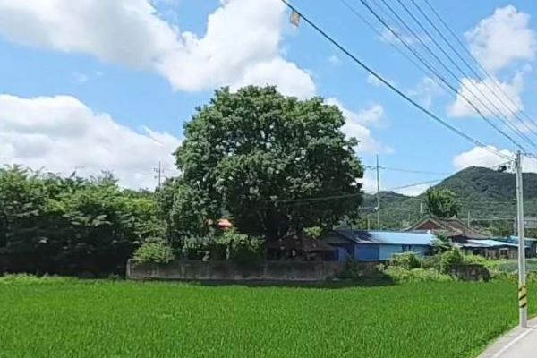 전북 정읍 시골집임대 촌집임대 농가주택임대 시골빈집임대 농촌빈집은행 귀농귀촌 5도2촌