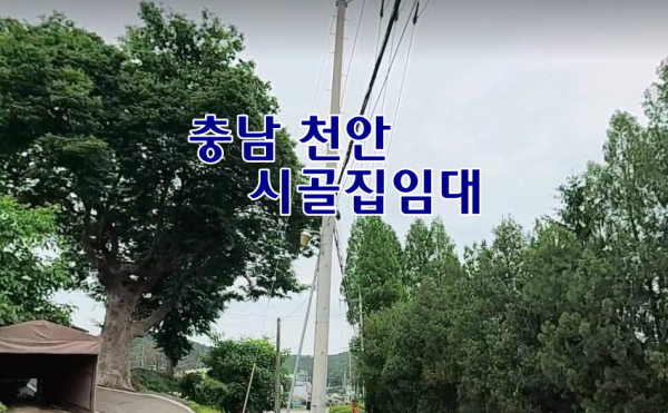 d3e88d79d6ab4192ef92bf7b3a8f998f_1780699634_9159.png