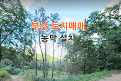 부산 토지매매 땅매매-부산 기장 캠핑 힐링 자연인부지 농막설치 토지매매 5도2촌 4도3촌