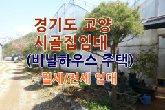 시골집임대-경기도 고양 시골집 비닐하우스 주택 촌집임대 농가주택임대 시골빈집임대 농촌빈집 정보 매물 귀농귀촌 5도2촌 전세임대 농촌 빈집은행 빈…