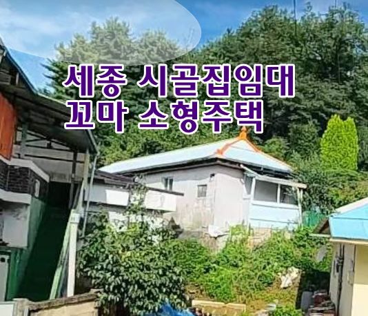 3dbfa899d0910ae803ec6f34d6752360_1790651303_0426.png